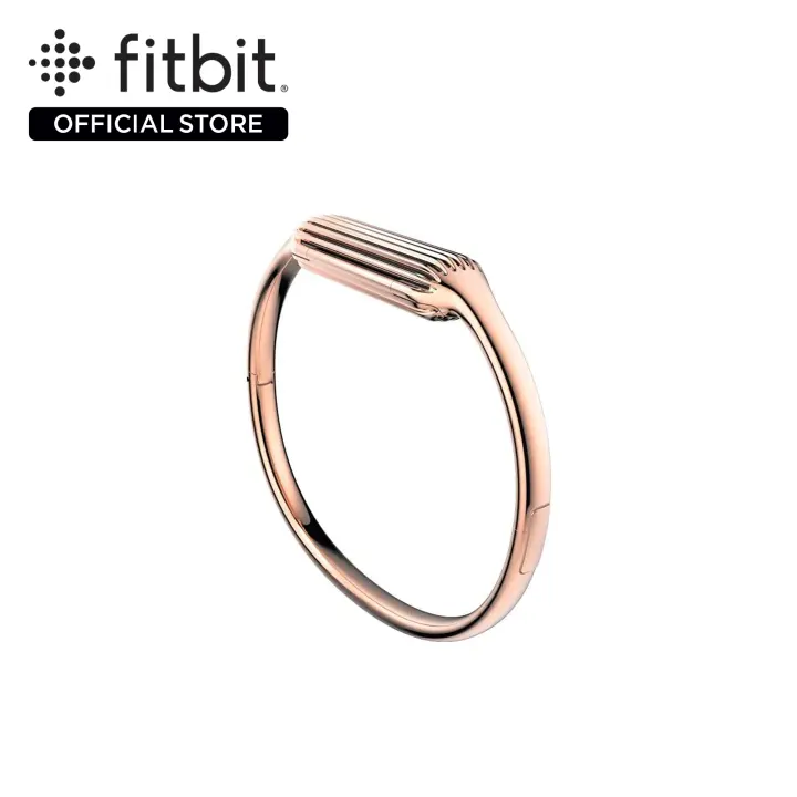 fitbit flex 2 bangle large