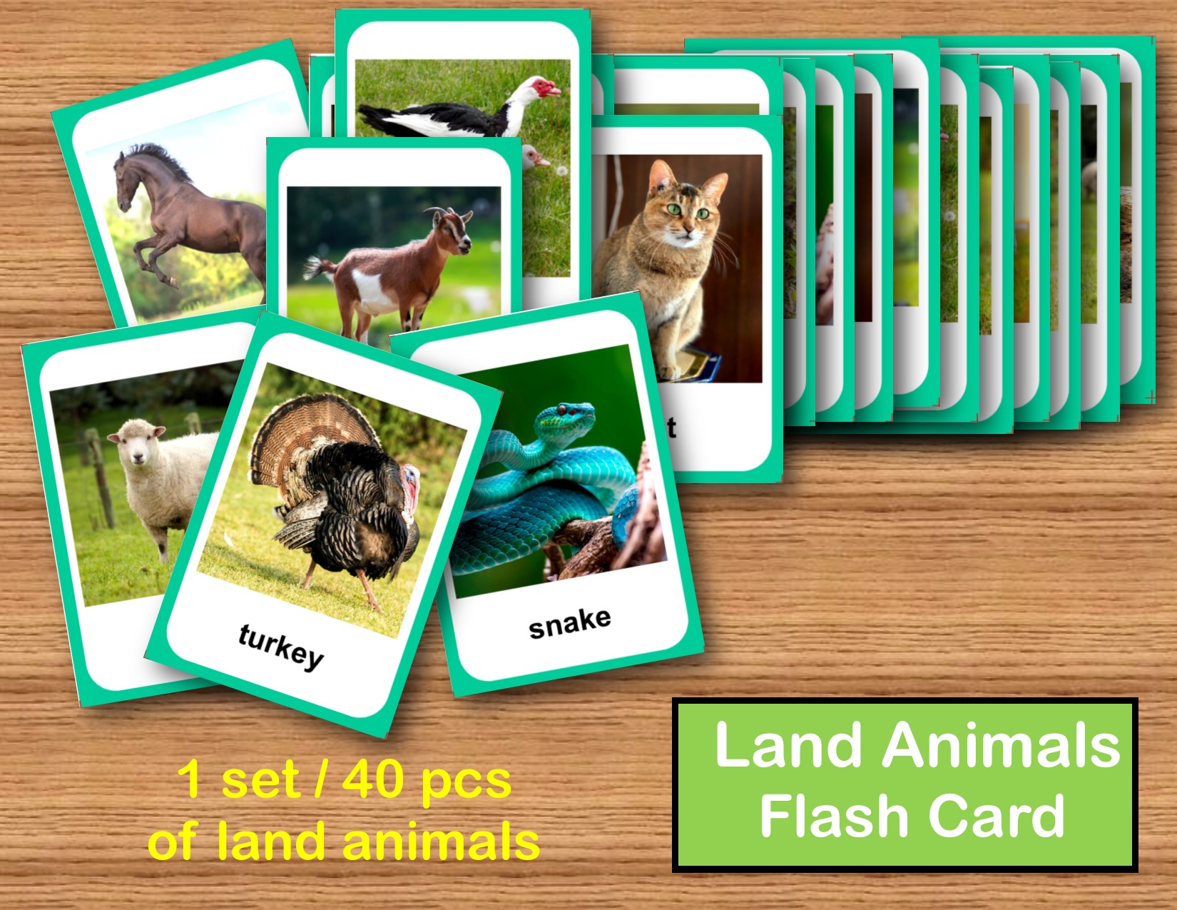 Land animals educational laminated flashcards Lazada PH