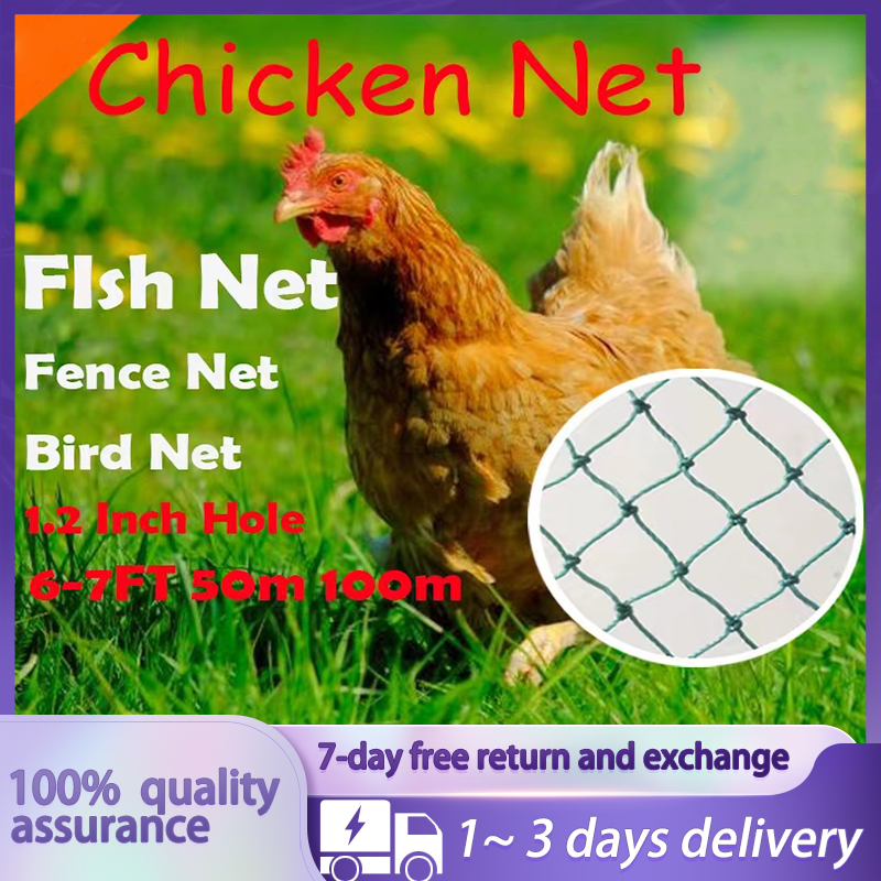 Garden Neting Bird Net Chicken Net Anti-Bird Chicken Deer Protection Net  Pond Safety Net Garden Fence Crawl Net Nylon Netingt - AliExpress