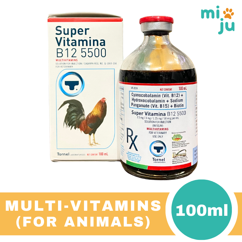 bpc 157 peptide how to use Vitamin B1 Vitamin B6 And B12 Injection at ₹ 70/piece | Veterinary Injection  in Chandigarh main image 0