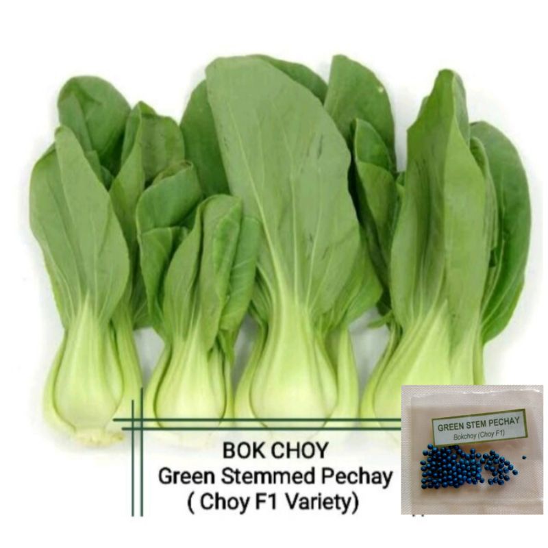 Seedsbokchoy Choy F1 Variety Lazada Ph 4032