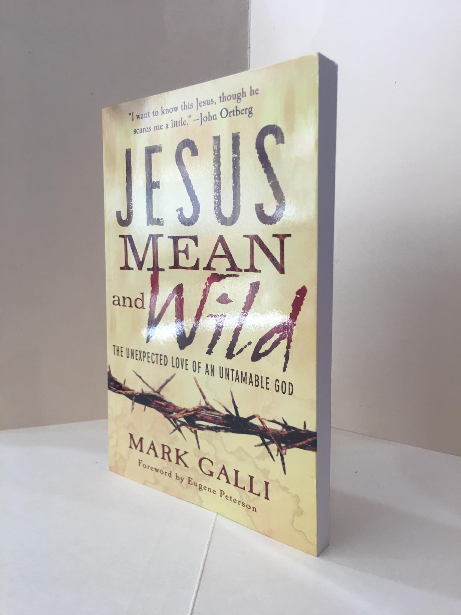 Jesus Mean and Wild: The Unexpected Love of an Untamable God