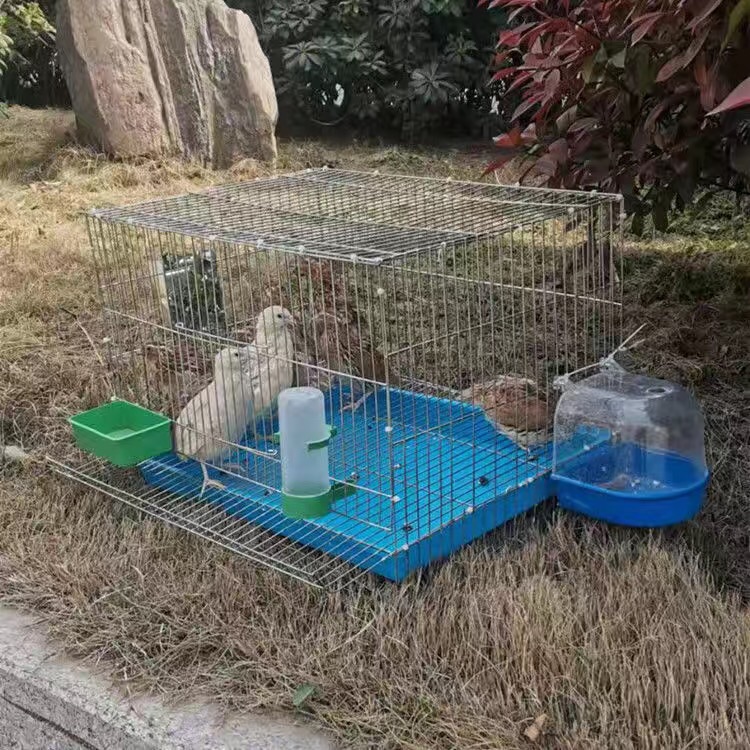 Household Quail Cage Egg Laying Quail Cage Breeding Bird Cage Quail Cage Bird Cage Quail Cage