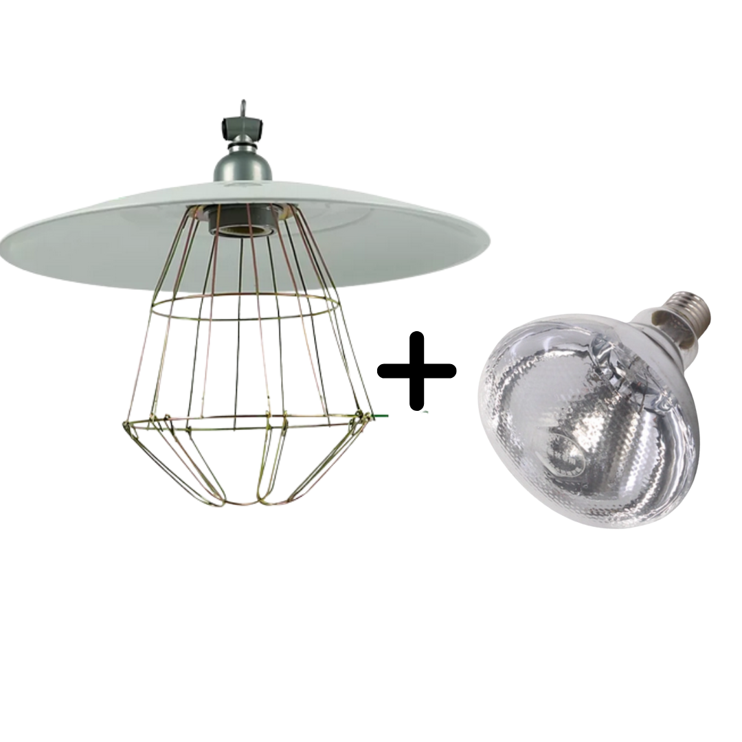1 Set Metal Heat Lamp with Infrared Bulb Piggery Poultry livestock Metal Heat Lamp Shade with
