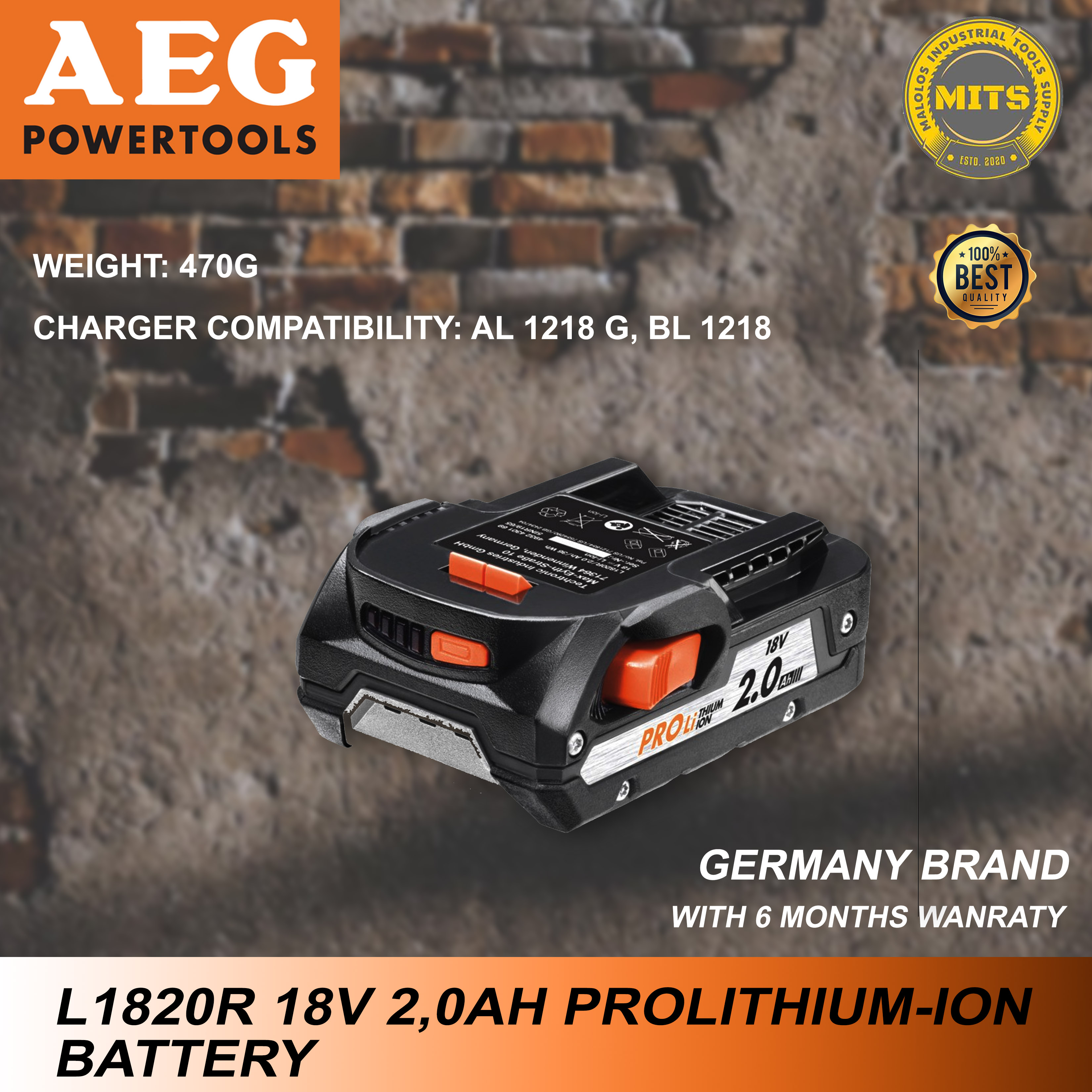 AEG BATTERY AND CHARGER ( Lazada PH