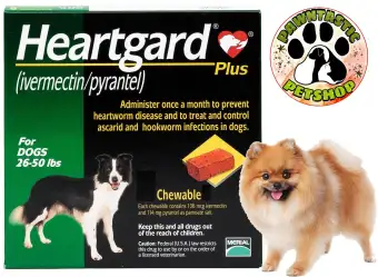 buy heartgard plus for dogs