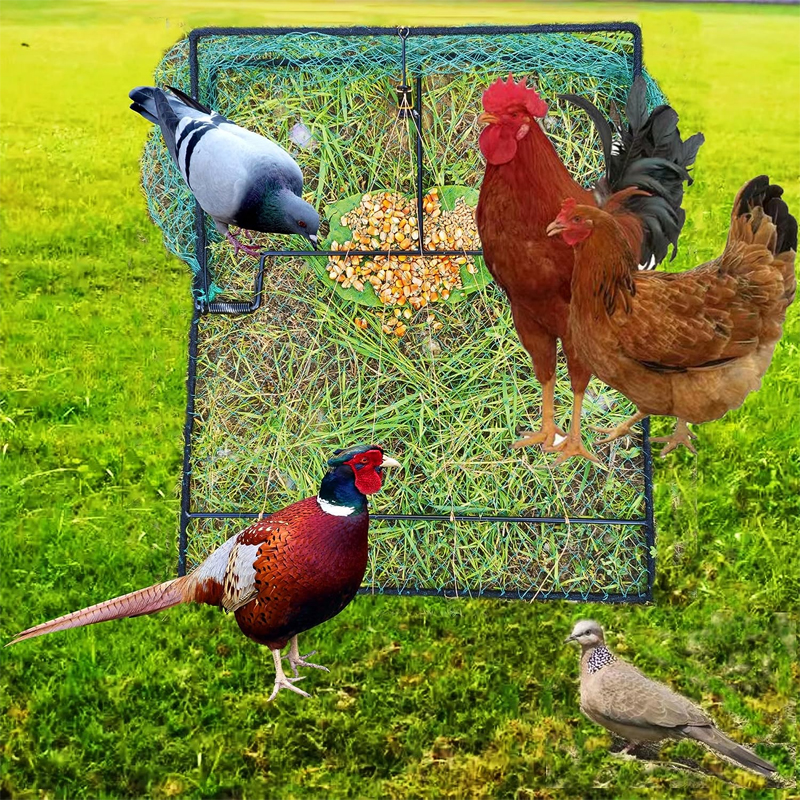 cod Chicken Trap Net 30/40/50cm Bird Trap Catcher Net Pigeon Trap