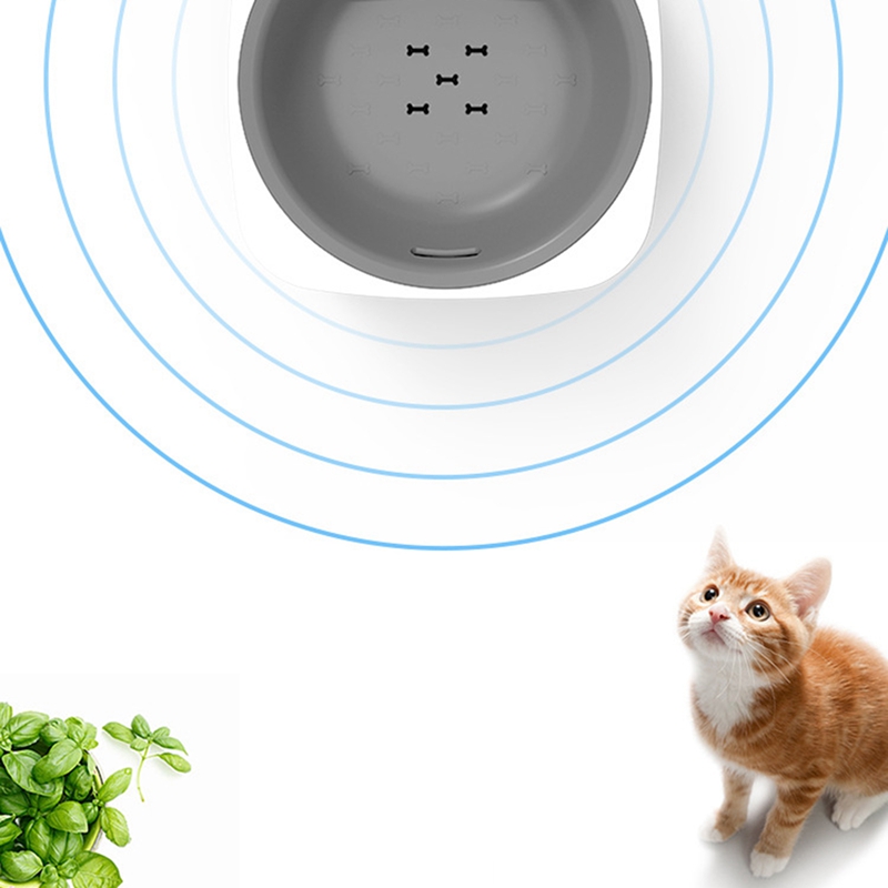 battery cat water fountain