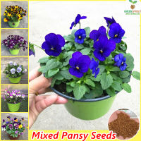 Singapore Easy To Grow丨Mixed Pansy Seed Home Gardening Seeds Assorted Flower Seeds (100 Seeds/pack)丨三色堇种子丨Potted Flowering Plants Seeds for Planting Ornamental Flowers Indoor Plants Real Plants Bonsai Tree Live Plants Garden Decoration Items