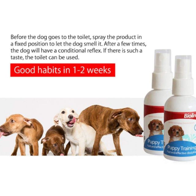 best puppy potty training spray