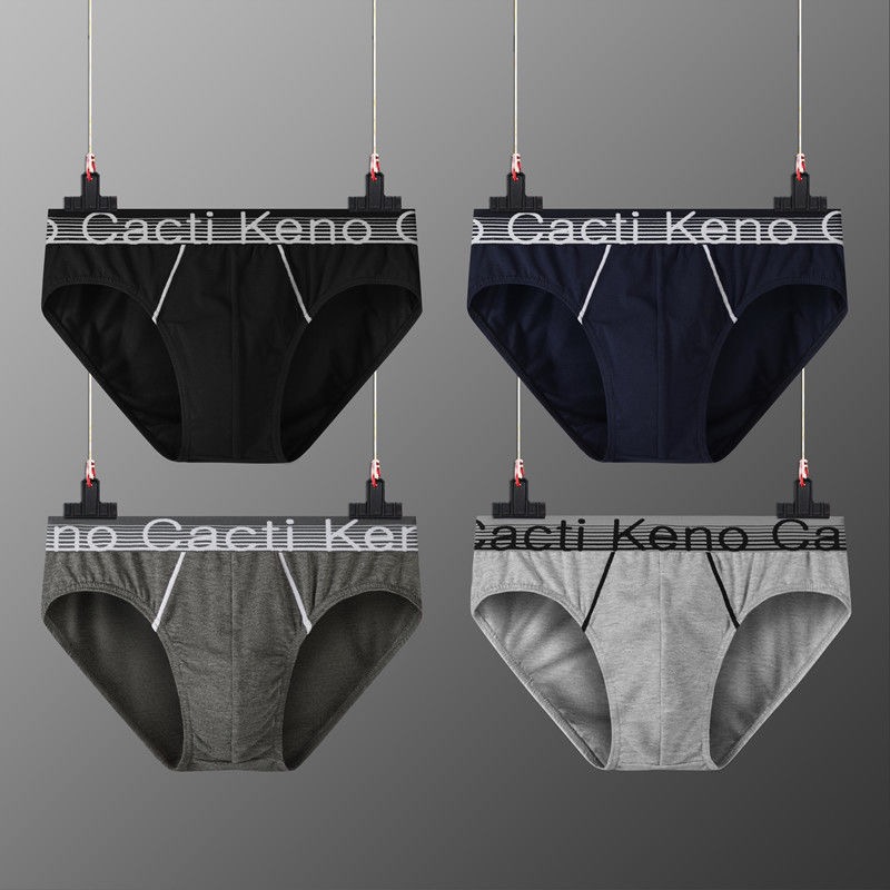 Cacti Keno Men's briefs Cotton Men's Underwear Plus Size briefs for men