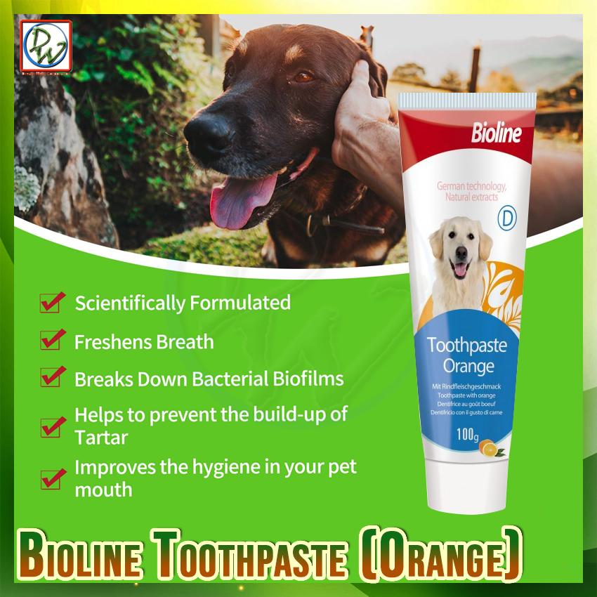 is mint toothpaste bad for dogs