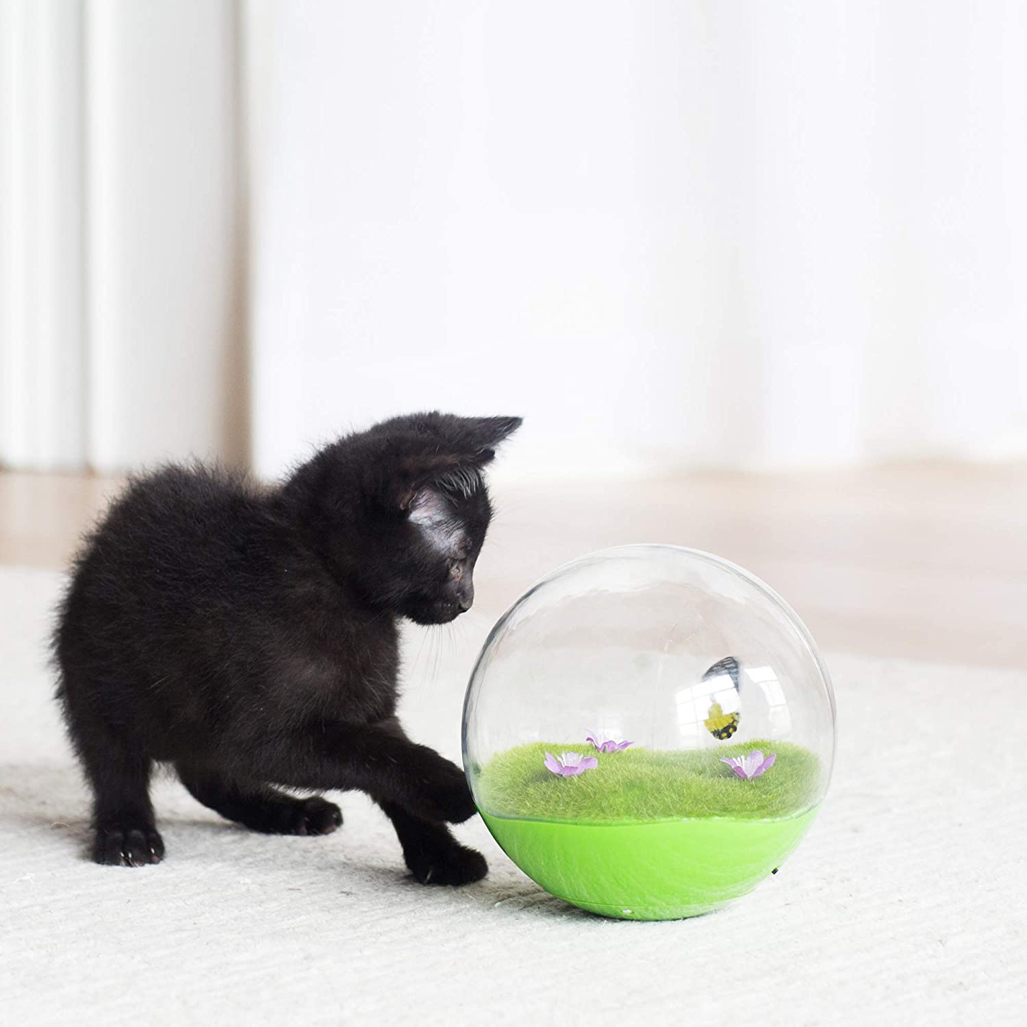 cat butterfly ball