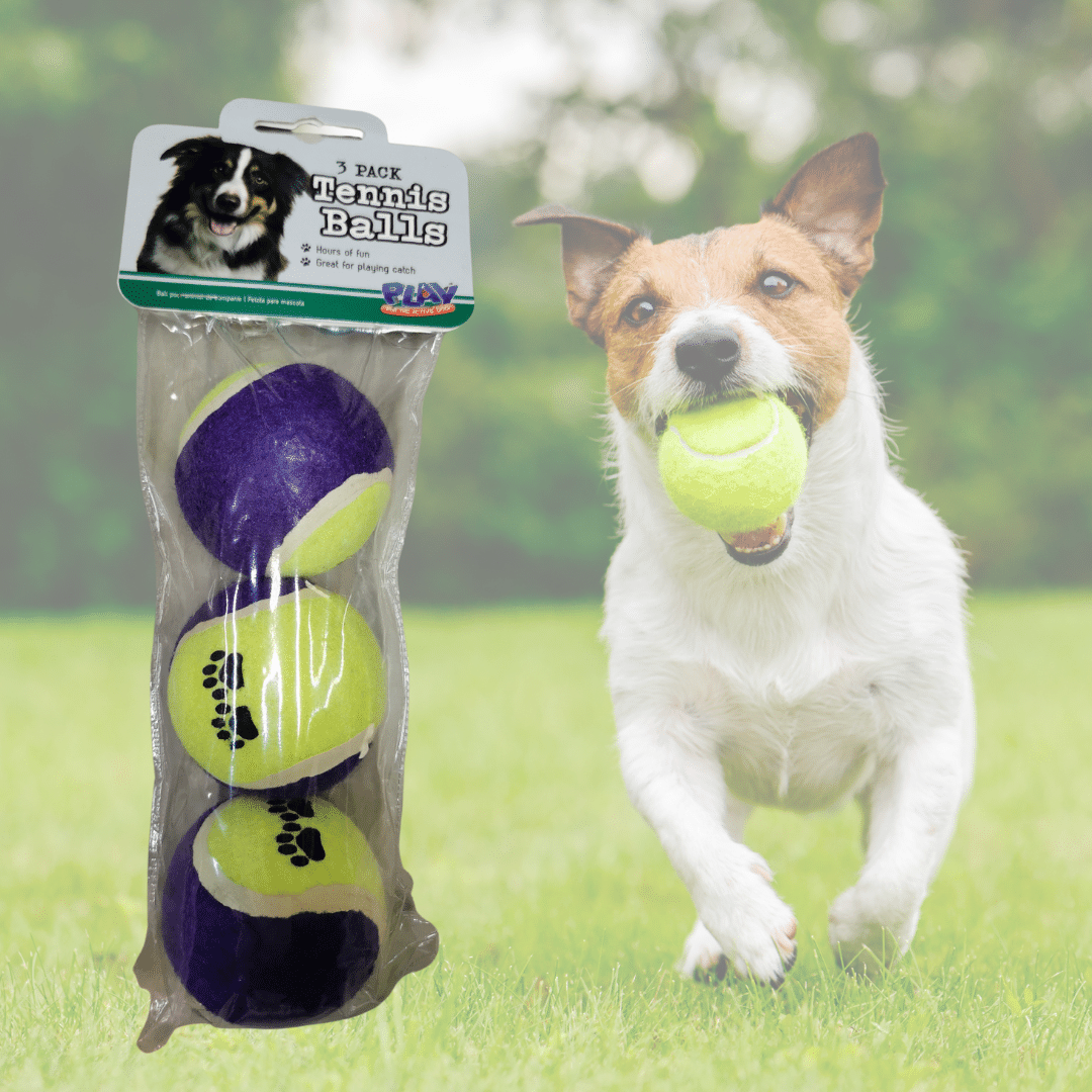 Are Tennis Balls Ok For Puppies