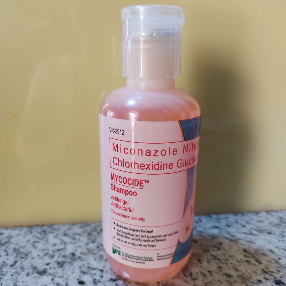 mycocide shampoo