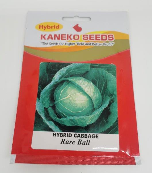 RARE BALL CABBAGE SEEDS BY KANEKO ( 5 GRAMS PACK ) Lazada PH