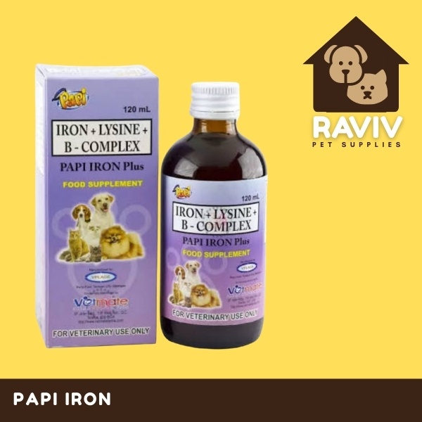 Papi Iron Plus 120ml | Lazada PH