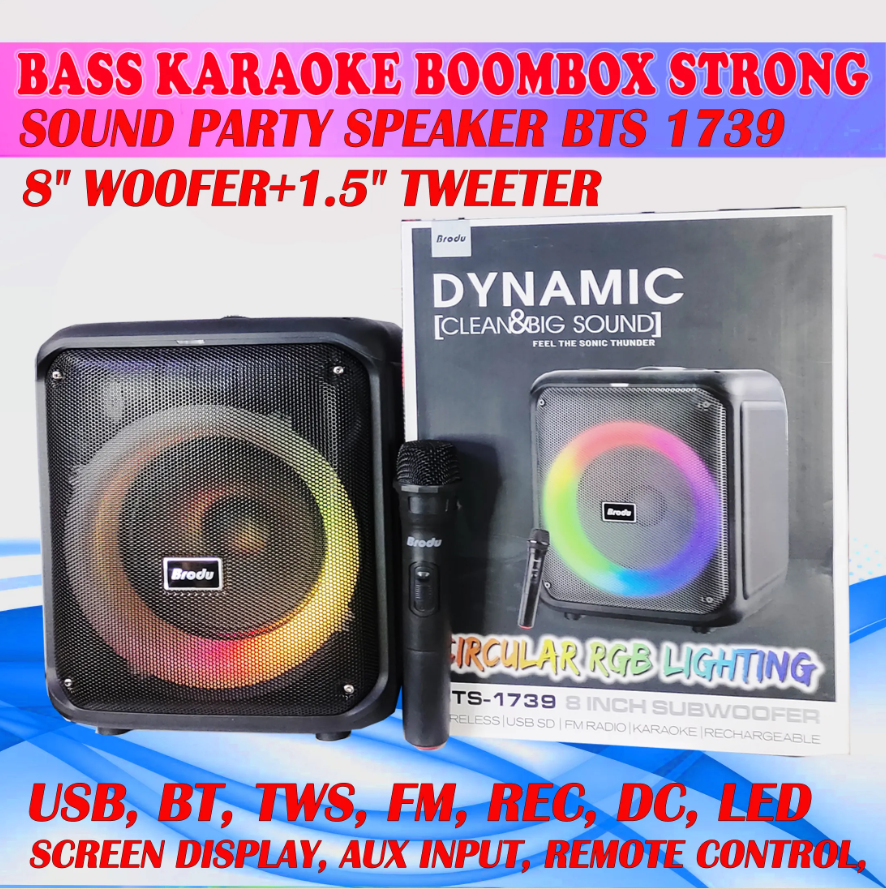 Brudo BTS1739 bluetooth karaoke speaker with RGB dynamic lighting