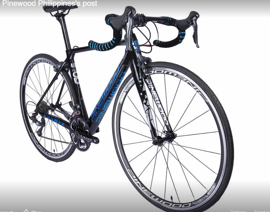 pinewood carbon road bike