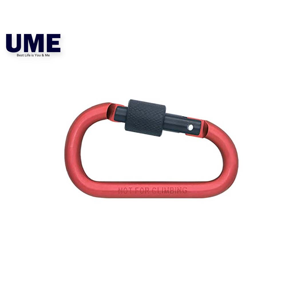 Carabiner Clip Key Chain with Lock D Shape, Aluminum Carabiner Keychain