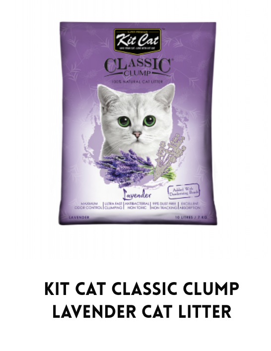 Kit Cat Classic Clump Cat Litter 10L Lazada PH