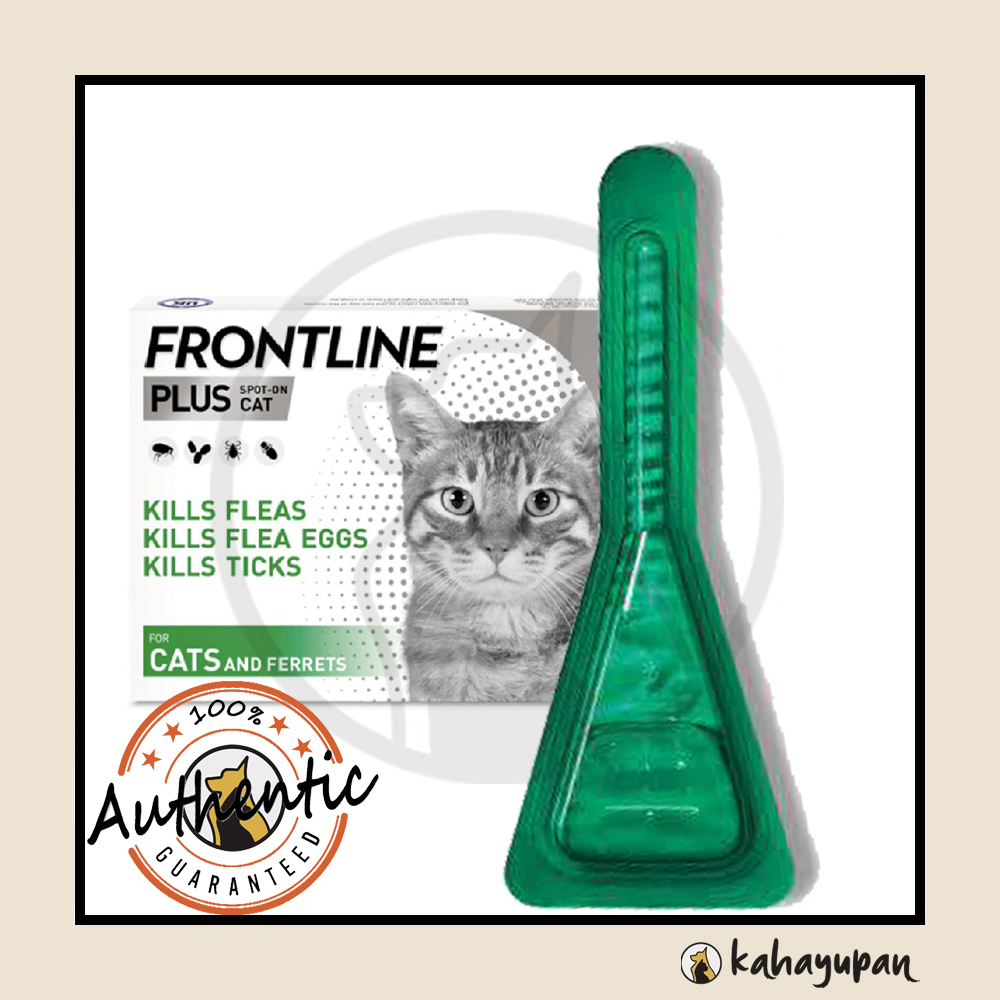 Frontline plus for outlet cats and ferrets