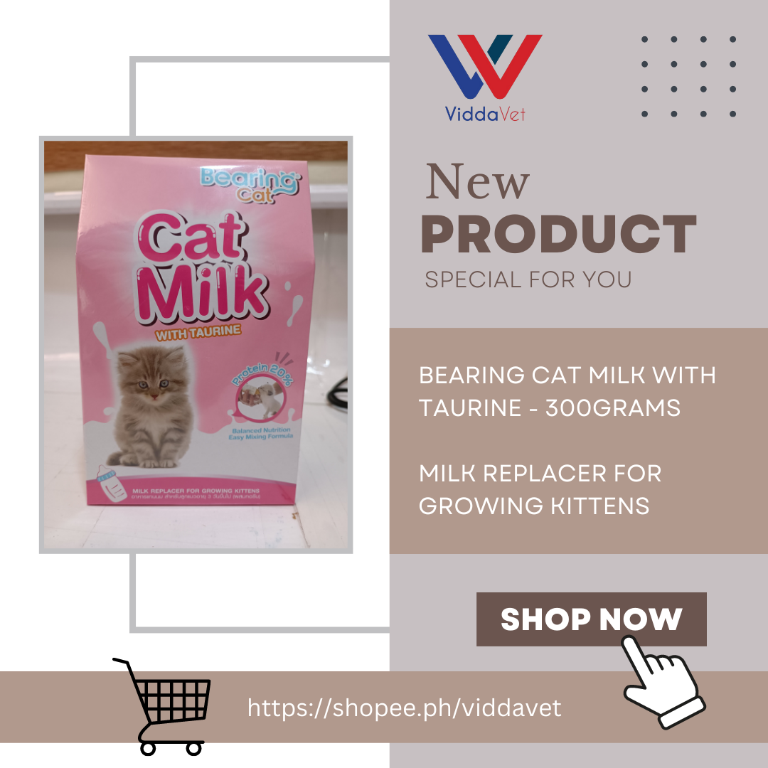 300g Bearing Premium Milk Replacer for young kittens with balanced and ...