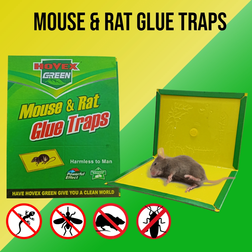 Rat Mouse Sticky Mice Rodent Glue Board Bait Trap 17cmx22cm Mouse Trap Supplier Rat Trap Fly Trap Cockroach Killer Rat Glue Board Mouse Sticky Adhesive Glue Paper Traps Lazada Ph