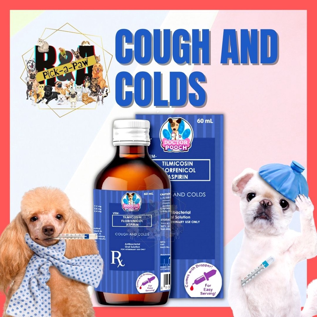 Cough and Colds 60 mL Antibacterial Oral Solution for Cats and Dogs Lazada PH