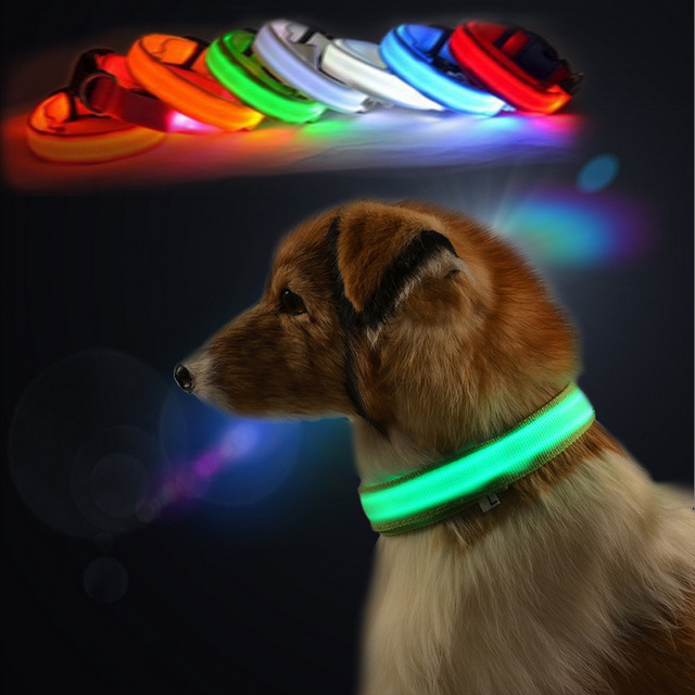pet led