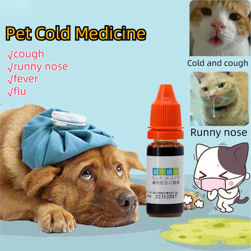 Runny Nose Cat Sneezing Cold Weather Runny Nose Dog Coughing In