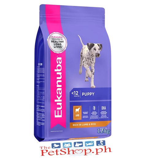 eukanuba everyday small & medium 18 kg
