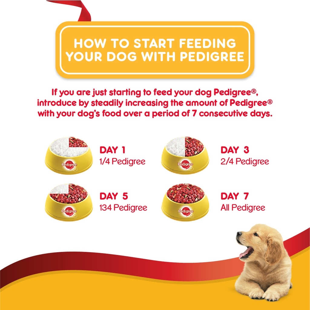 PEDIGREE Puppy Food Wet Dog Food for Puppy in Chicken Flavor in Gravy