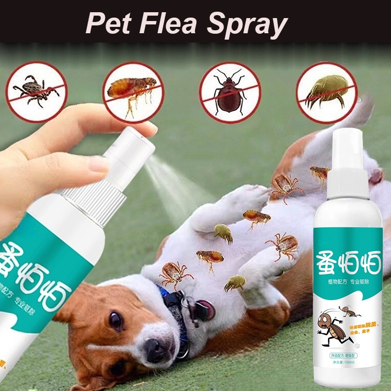 Flea Repellent Spray skin antibacterial spray, cat and dog wound spray are safe and effective