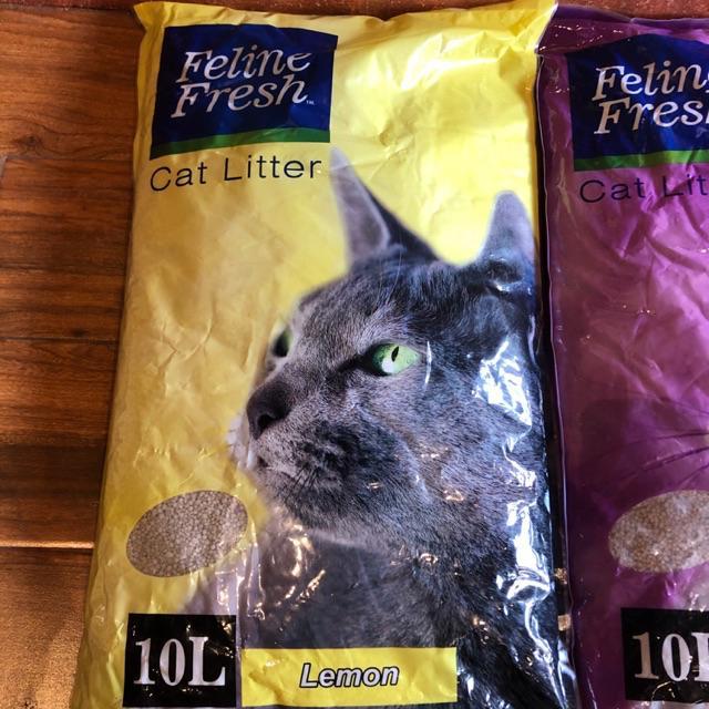 Feline fresh 10L litter sand Lazada PH