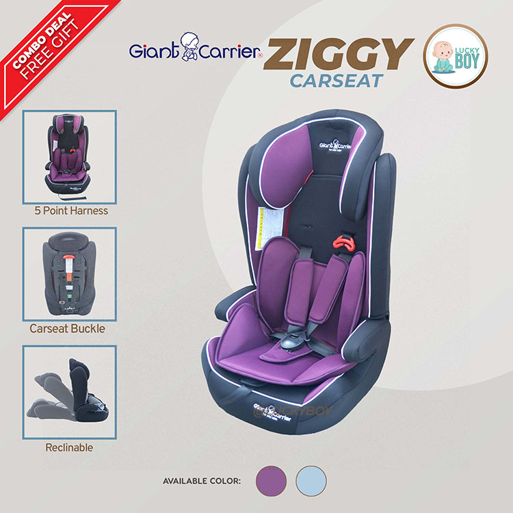 Lucky Boy Giant Carrier Carseat for Baby Girl Baby Boy Ziggy 3