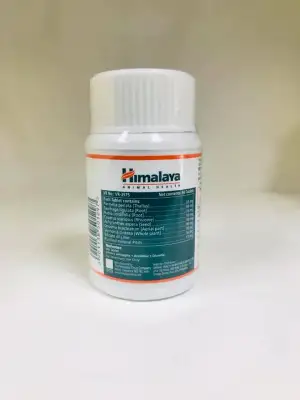 Himalaya Nefrotec 60 Tablets