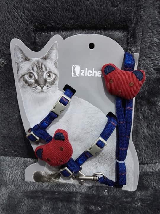 cat harness lazada