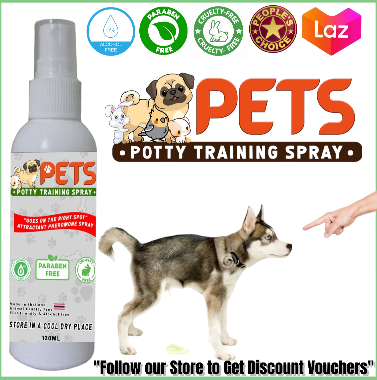 Can A Dog Be Indoor And Outdoor Potty Trained