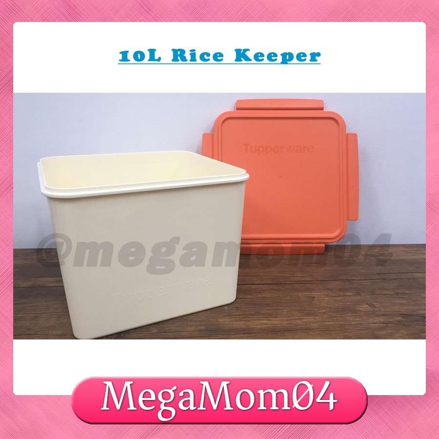 10kg Multi purpose storage container Rice Keeper food storage Tupperware  air tight Big Kitchenware Lazada PH