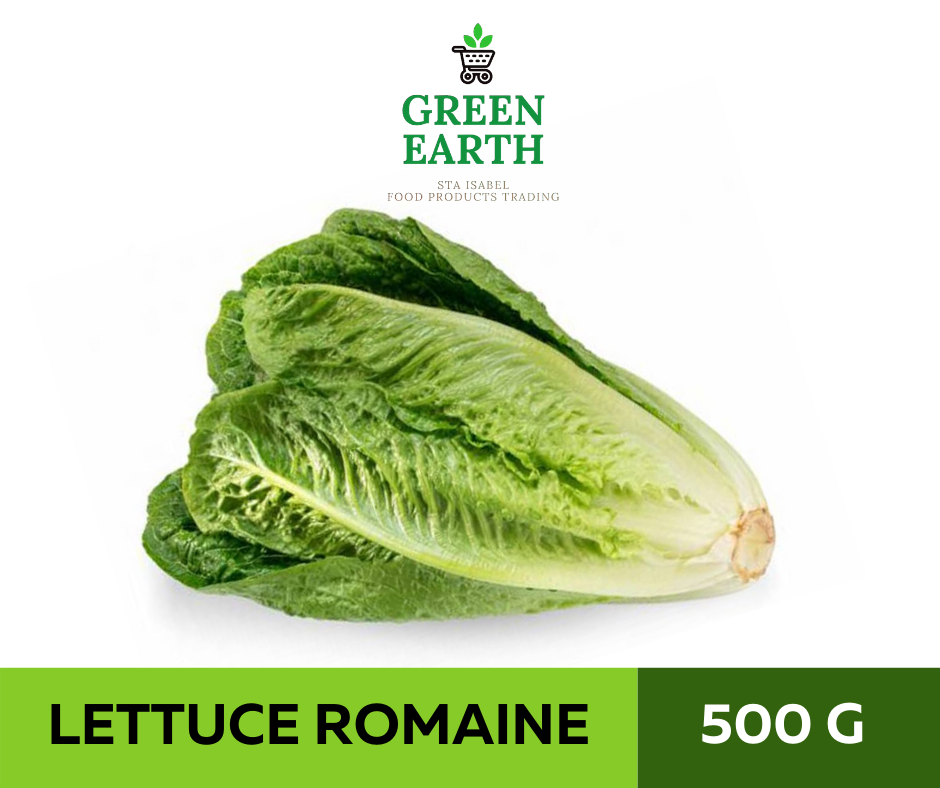 GREEN EARTH FRESH LETTUCE ROMAINE 500g Lazada PH