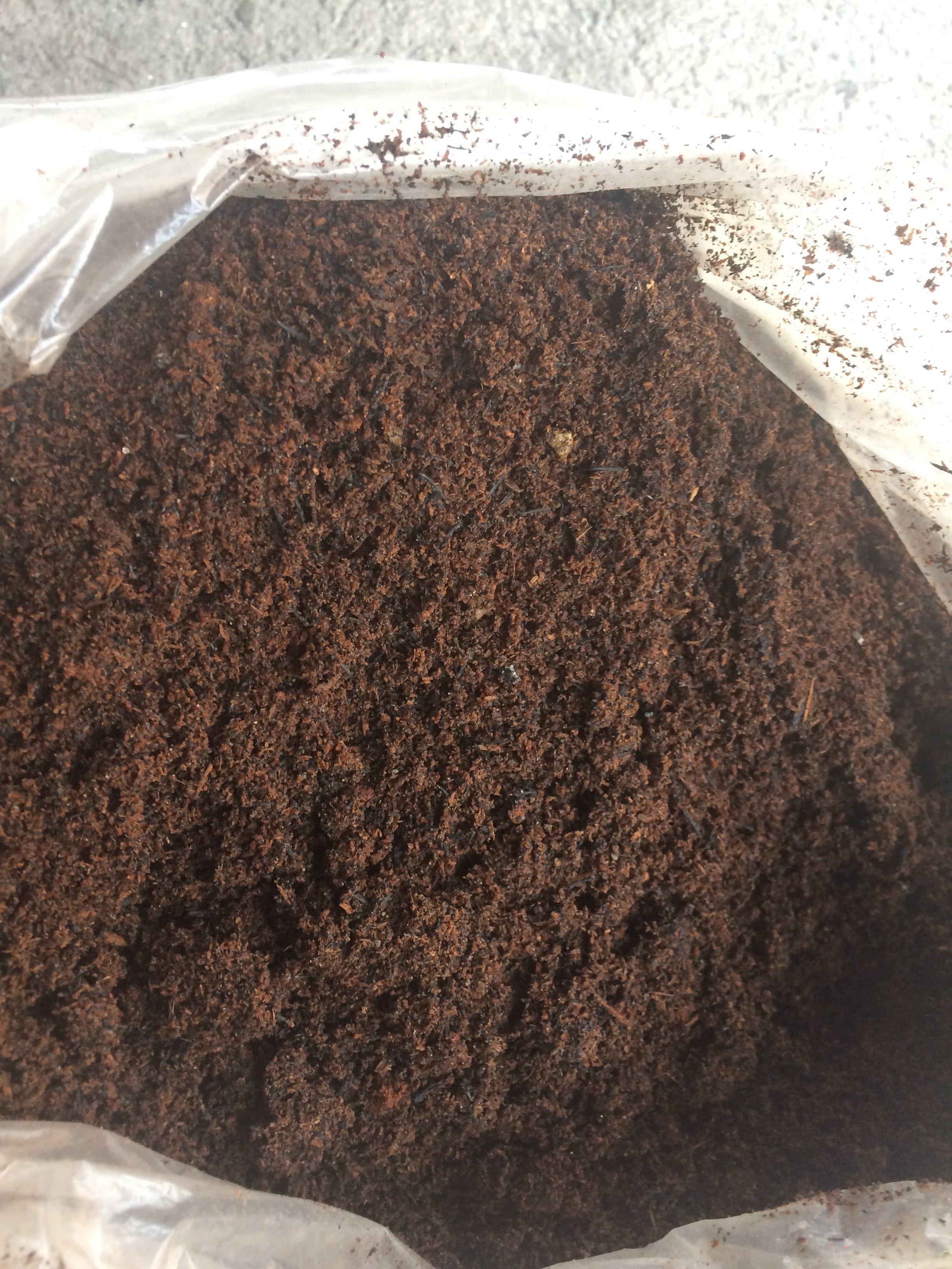 Buy Garden Soil Fertilizers At Best Price Online Lazada Com Ph