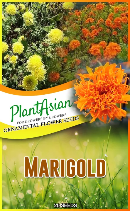 Marigold Flowers Seeds Buy Sell Online Plant Seeds And Bulbs With Cheap Price Lazada Ph