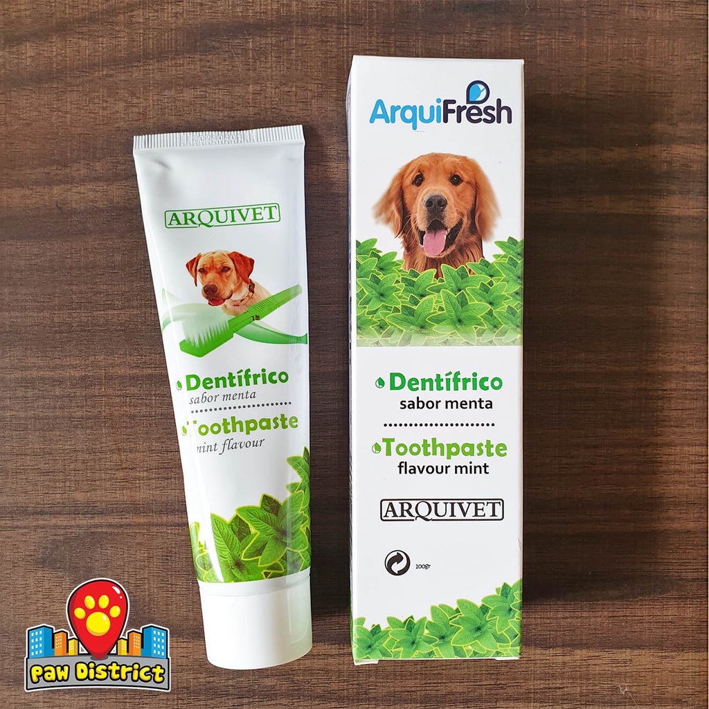 What Is The Safest Dog Toothpaste