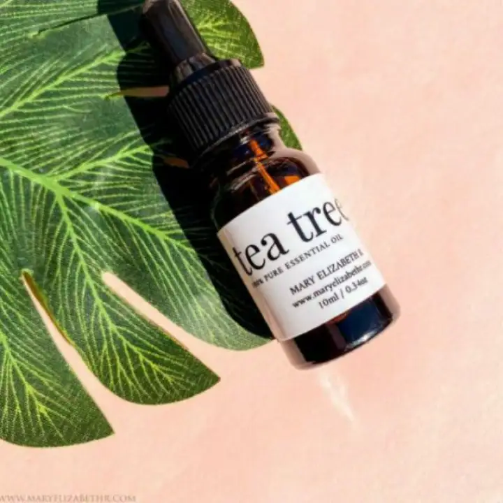 tea tree toner mary elizabeth r