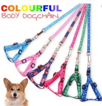 buy dog chain