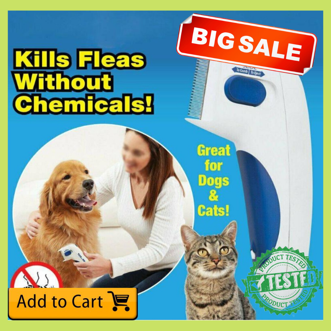 professional flea treatment for cats