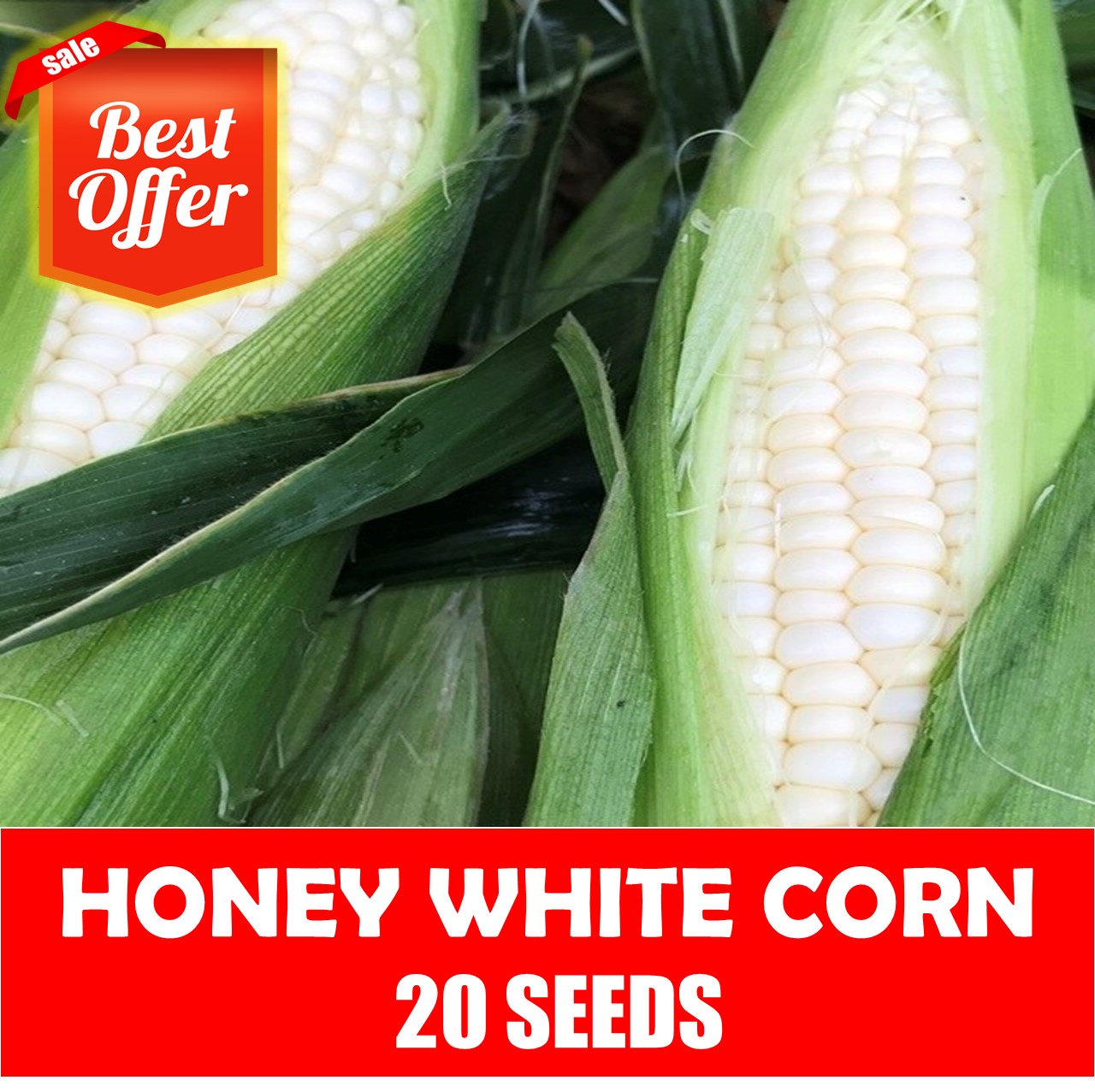 Honey White Corn Corn Seeds Lazada
