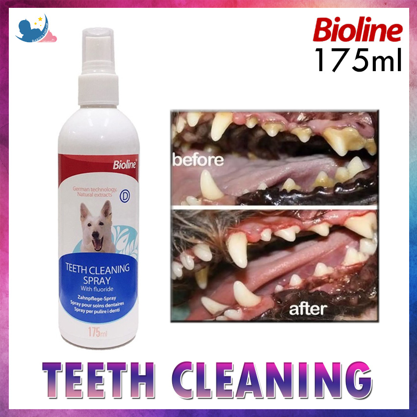 teeth cleaning spray