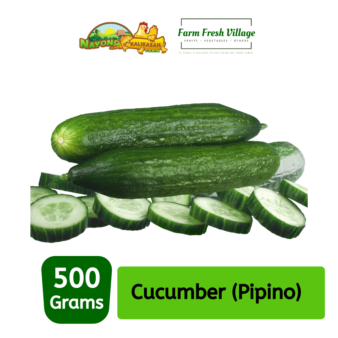FARM FRESH VILLAGE Cucumber 500 grams Lazada PH